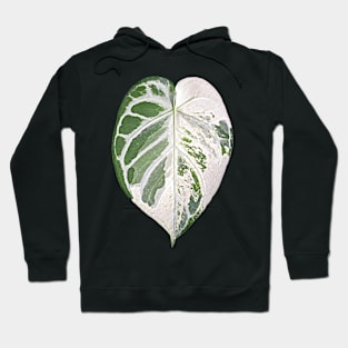 ANTHURIUM VARIEGATED Hoodie